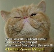 Нет непрочитанных сообщений
